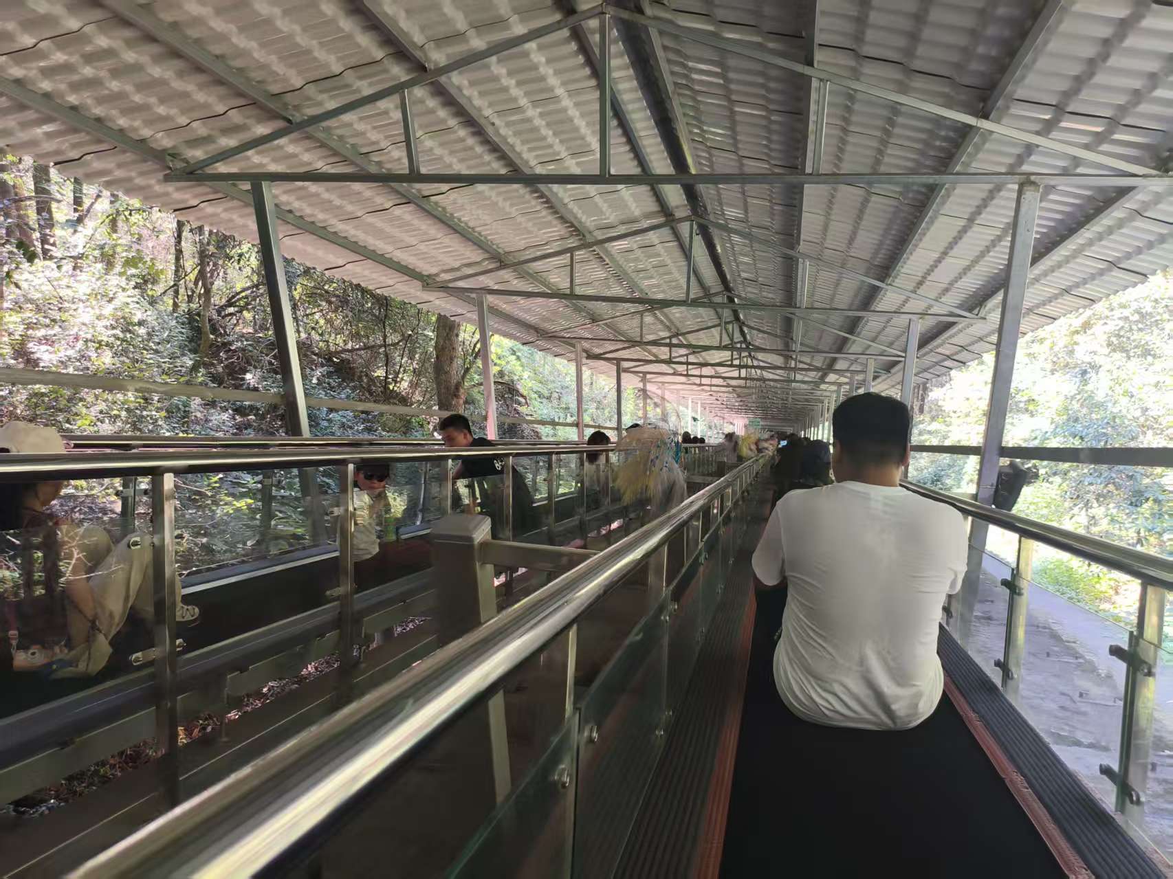 请输入图片描述