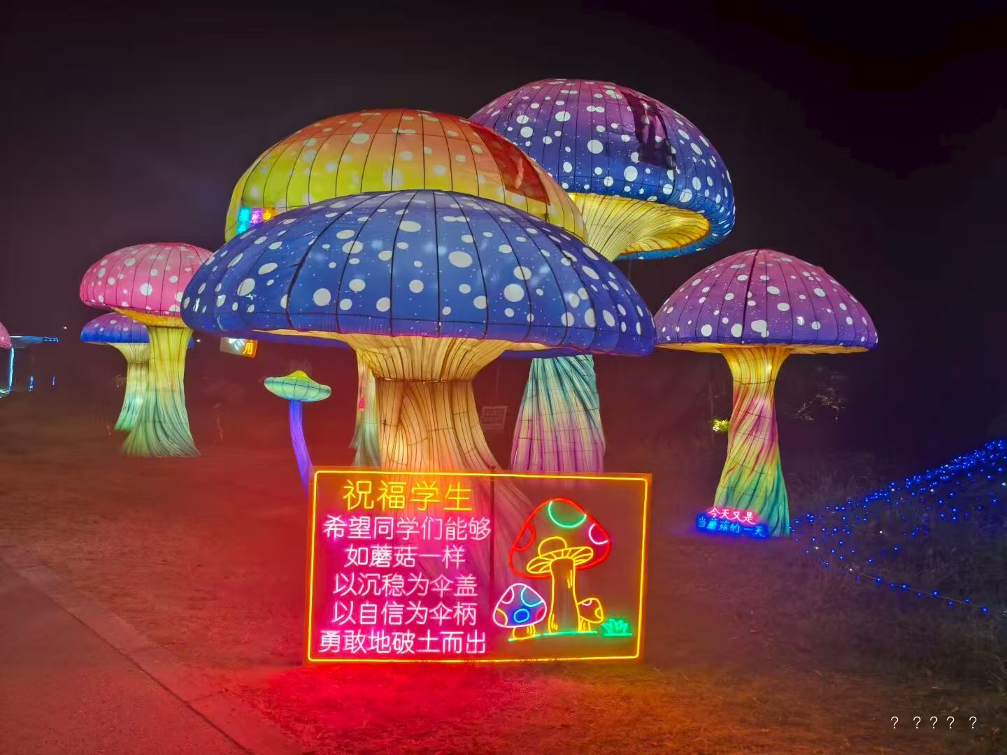 请输入图片描述
